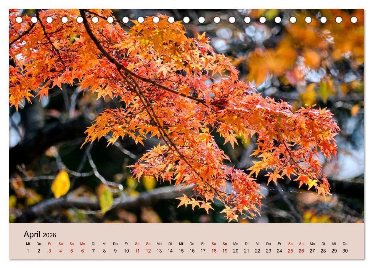 Bild: 9783457269985 | Japan im Herbst (Tischkalender 2026 DIN A5 quer), CALVENDO...