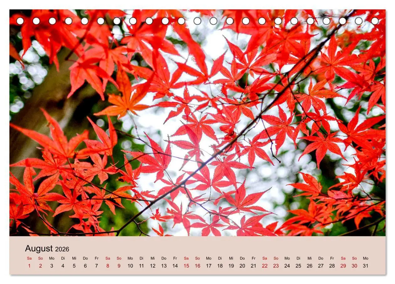 Bild: 9783457269985 | Japan im Herbst (Tischkalender 2026 DIN A5 quer), CALVENDO...