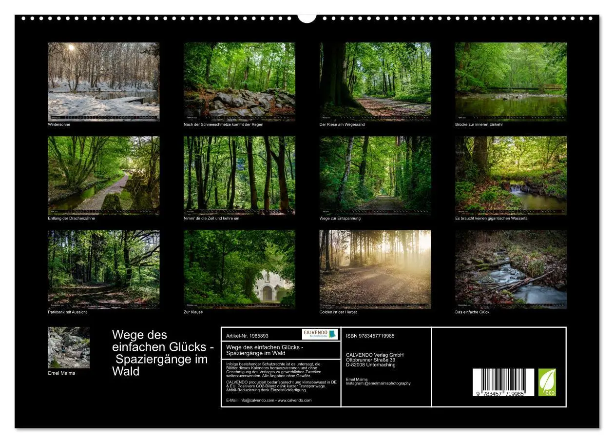 Bild: 9783457719985 | Wege des einfachen Glücks - Spaziergänge im Wald (hochwertiger...