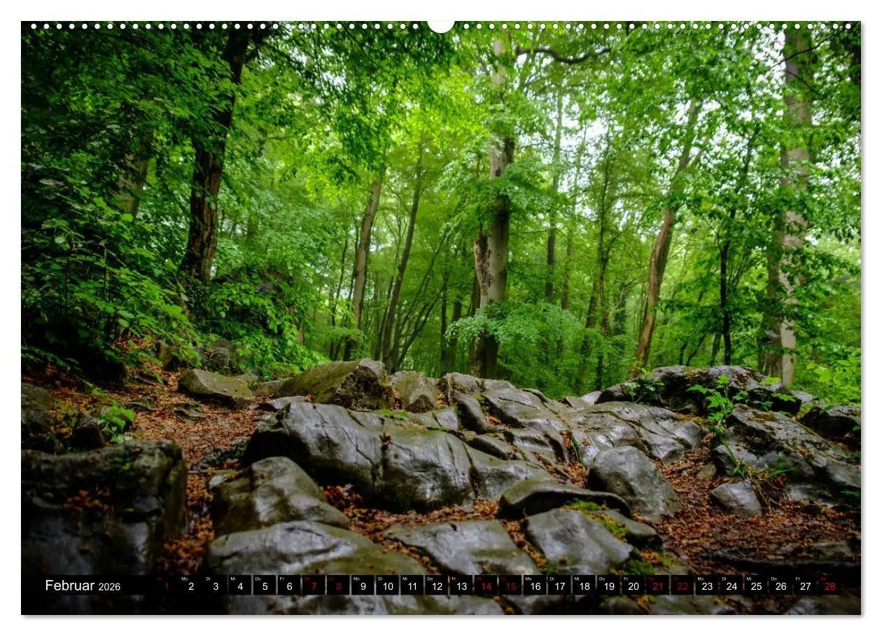 Bild: 9783457719985 | Wege des einfachen Glücks - Spaziergänge im Wald (hochwertiger...