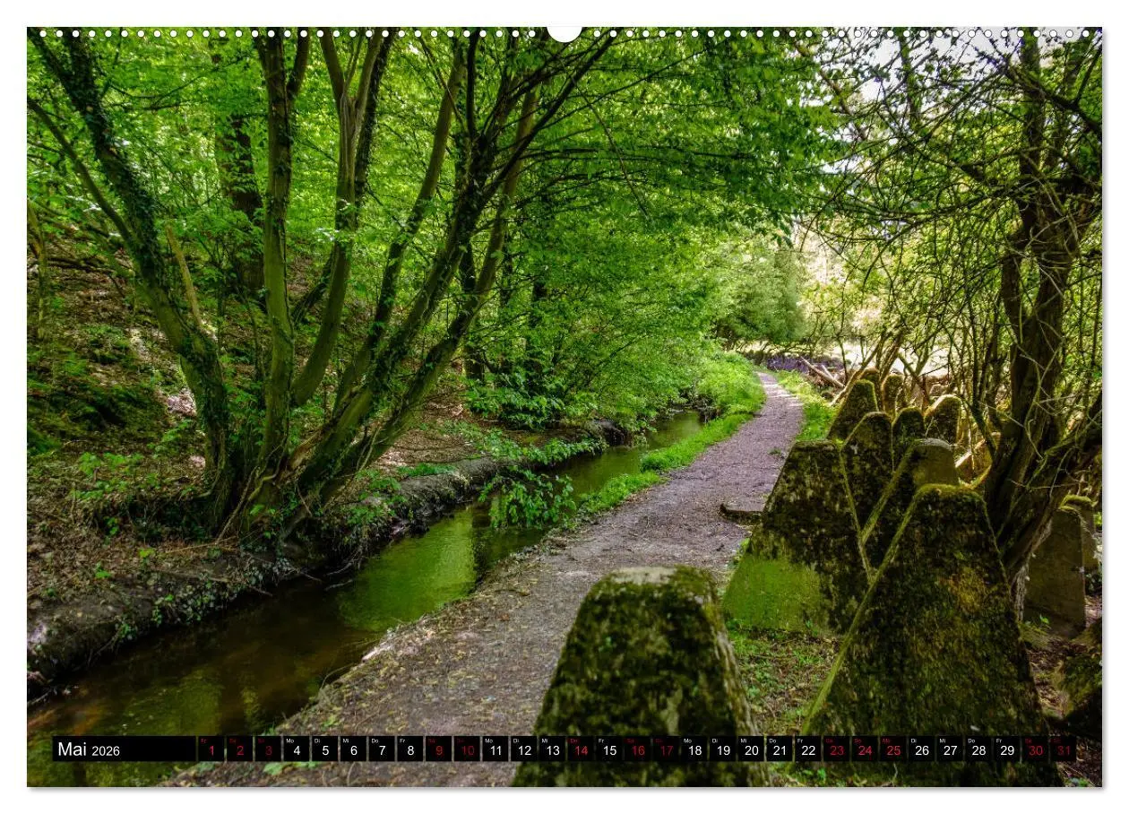 Bild: 9783457719985 | Wege des einfachen Glücks - Spaziergänge im Wald (hochwertiger...