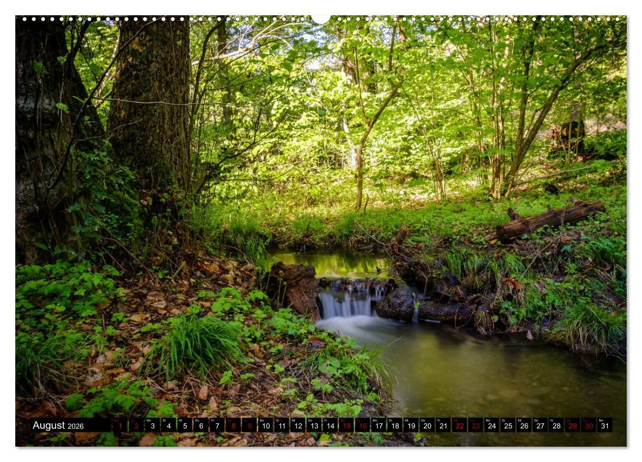 Bild: 9783457719985 | Wege des einfachen Glücks - Spaziergänge im Wald (hochwertiger...