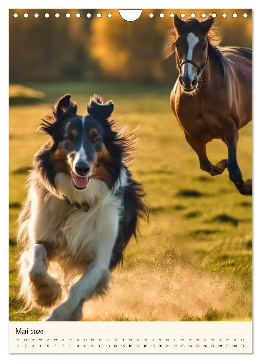 Bild: 9783516599985 | Hütehunde mit Energie und Ausdauer (Wandkalender 2026 DIN A4 hoch),...