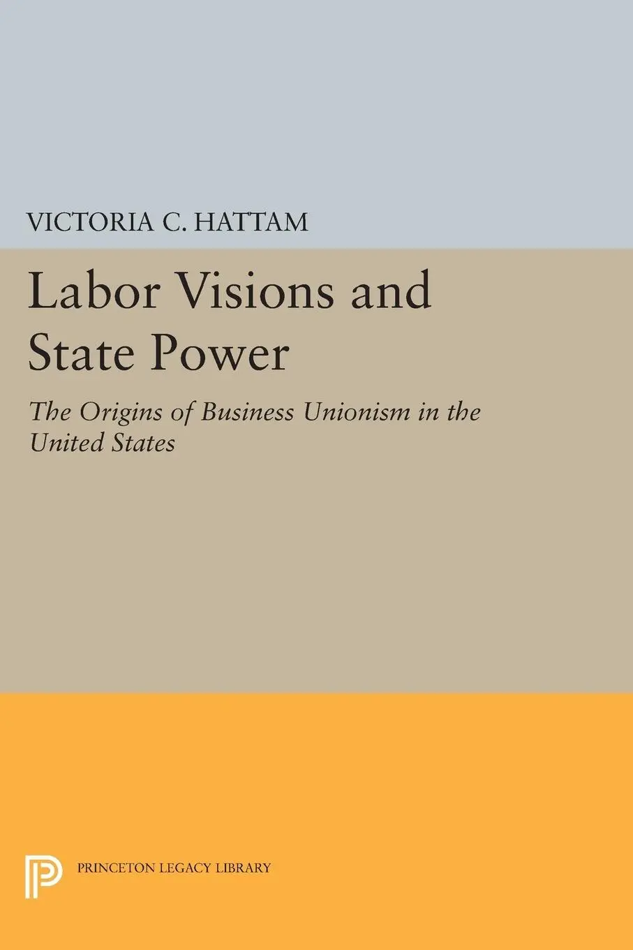 Cover: 9780691600086 | Labor Visions and State Power | Victoria C. Hattam | Taschenbuch