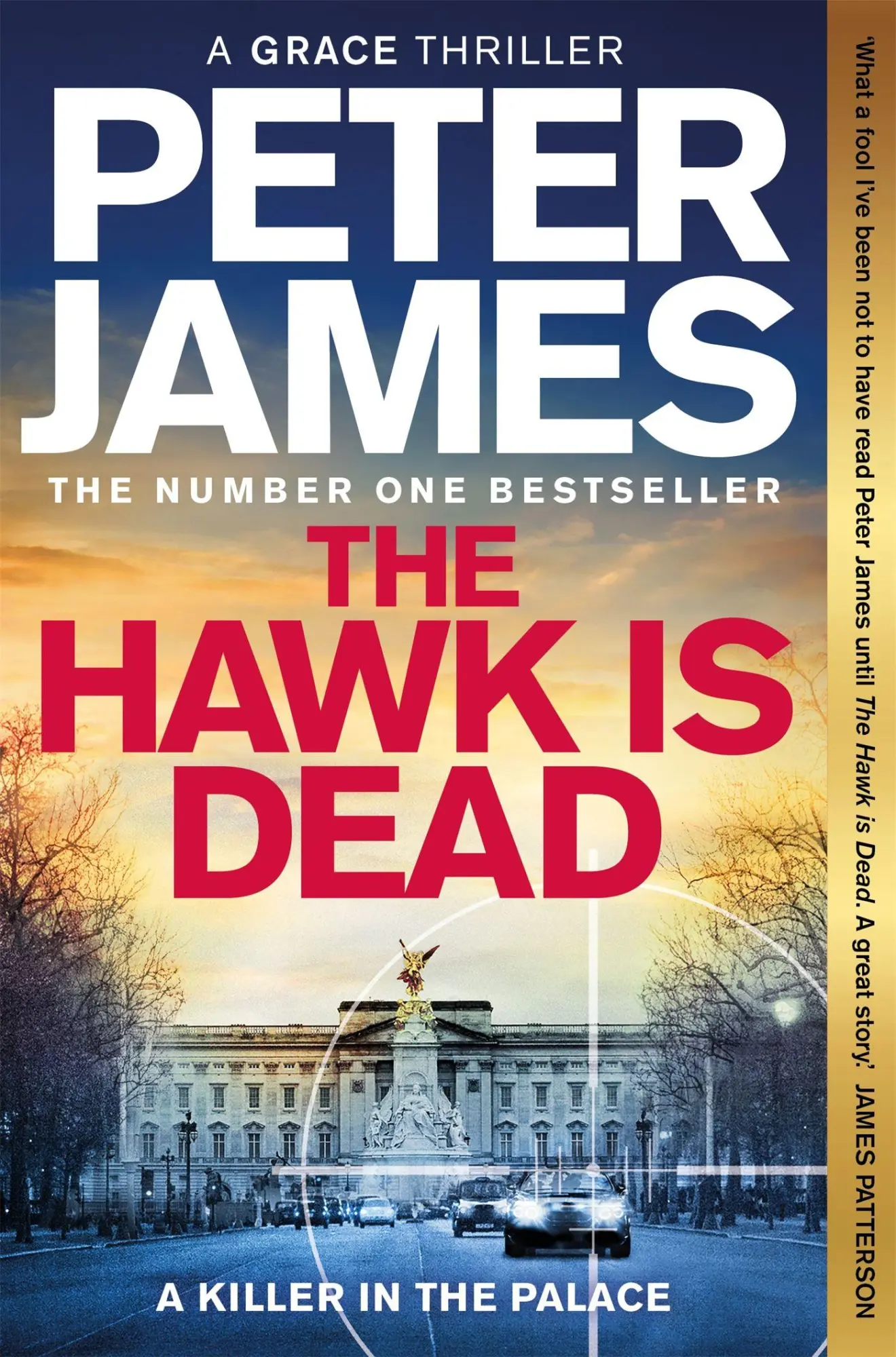 Cover: 9781529090086 | The Hawk Is Dead | Peter James | Taschenbuch | Roy Grace (english)