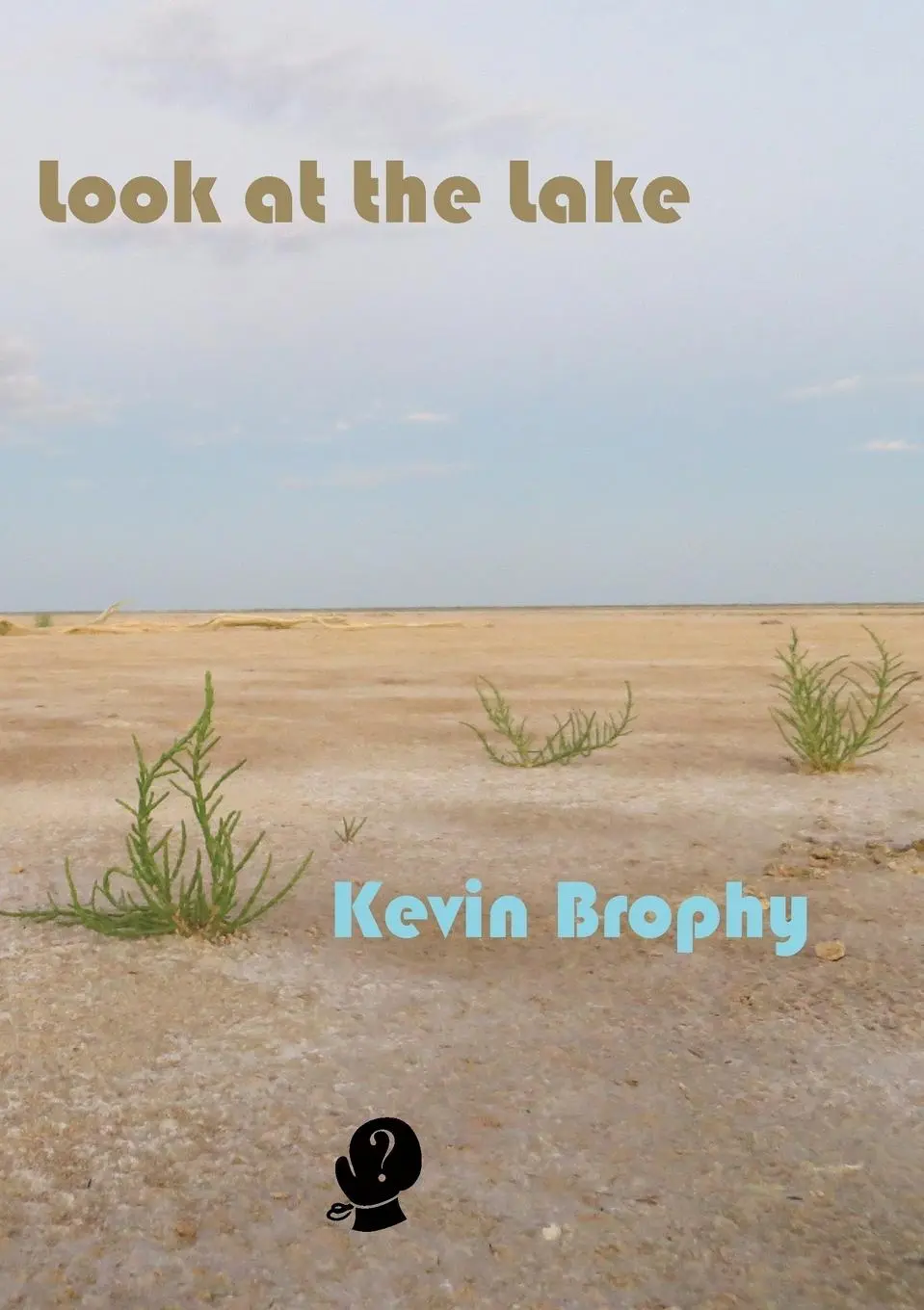 Cover: 9781925780086 | Look at the Lake | Kevin Brophy | Taschenbuch | Englisch | 2018