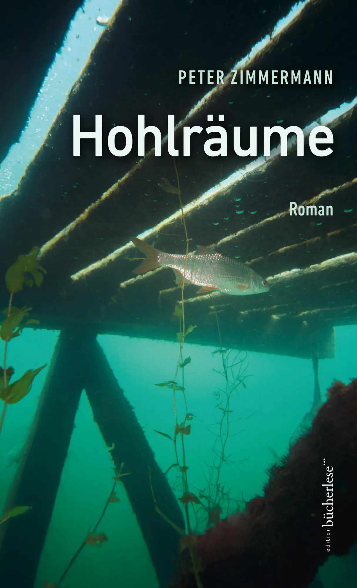 Cover: 9783039810086 | Hohlräume | Peter Zimmermann | Buch | 192 S. | Deutsch | 2025