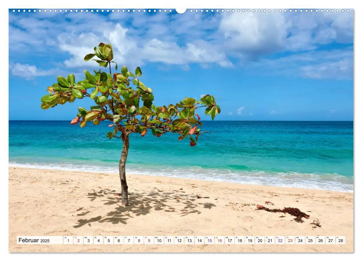 Bild: 9783435290086 | Inseln über dem Winde (Wandkalender 2025 DIN A2 quer), CALVENDO...