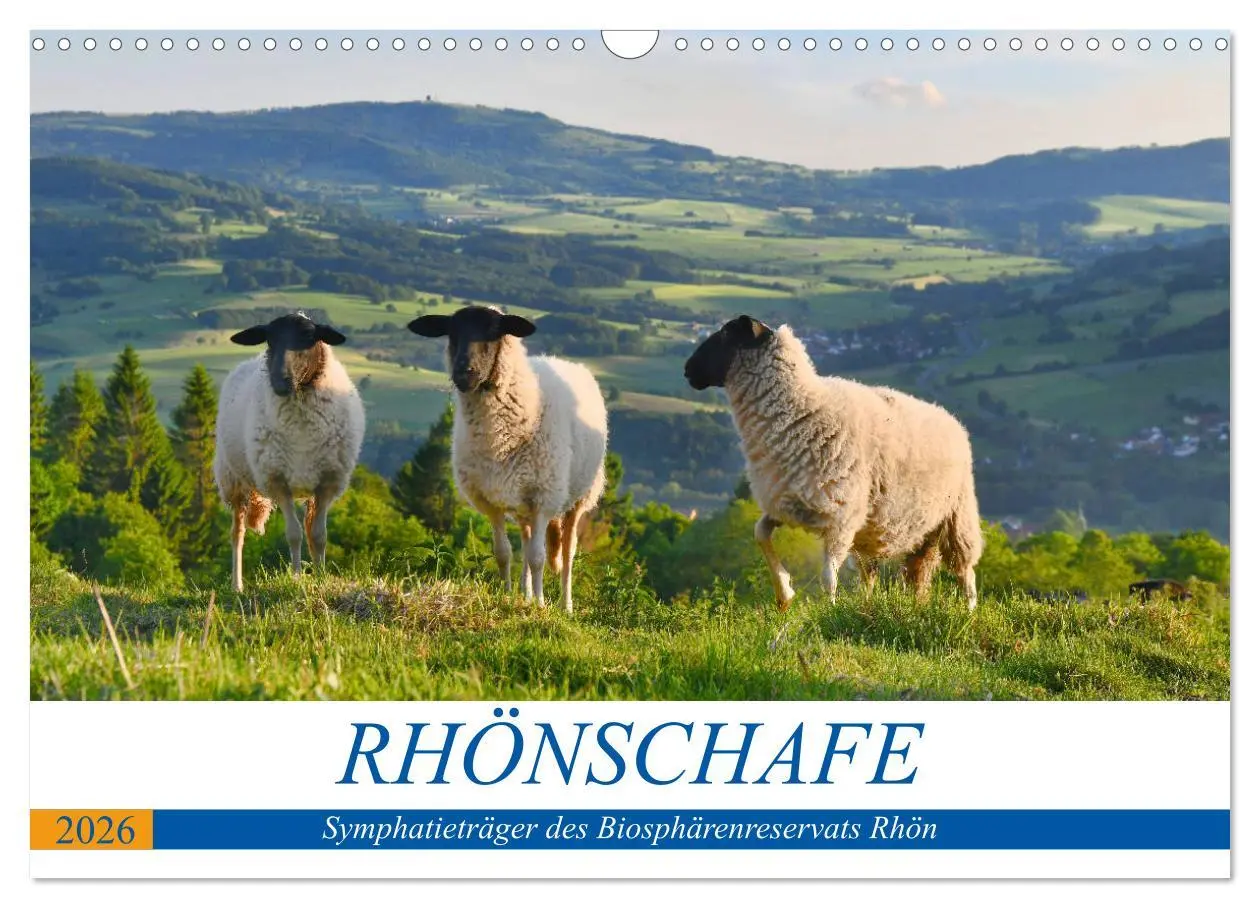 Cover: 9783457690086 | Rhönschafe - Symphatieträger des Biosphärenreservats Rhön...