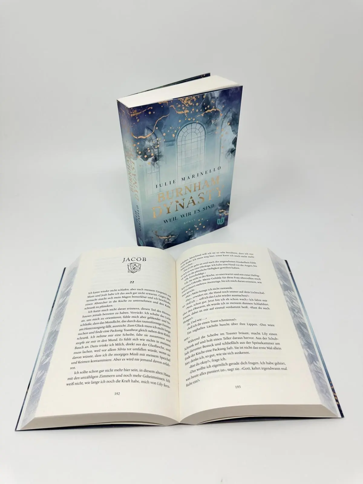 Bild: 9783690860086 | Burnham Dynasty | Julie Marinello | Taschenbuch | Burnham Dynasty