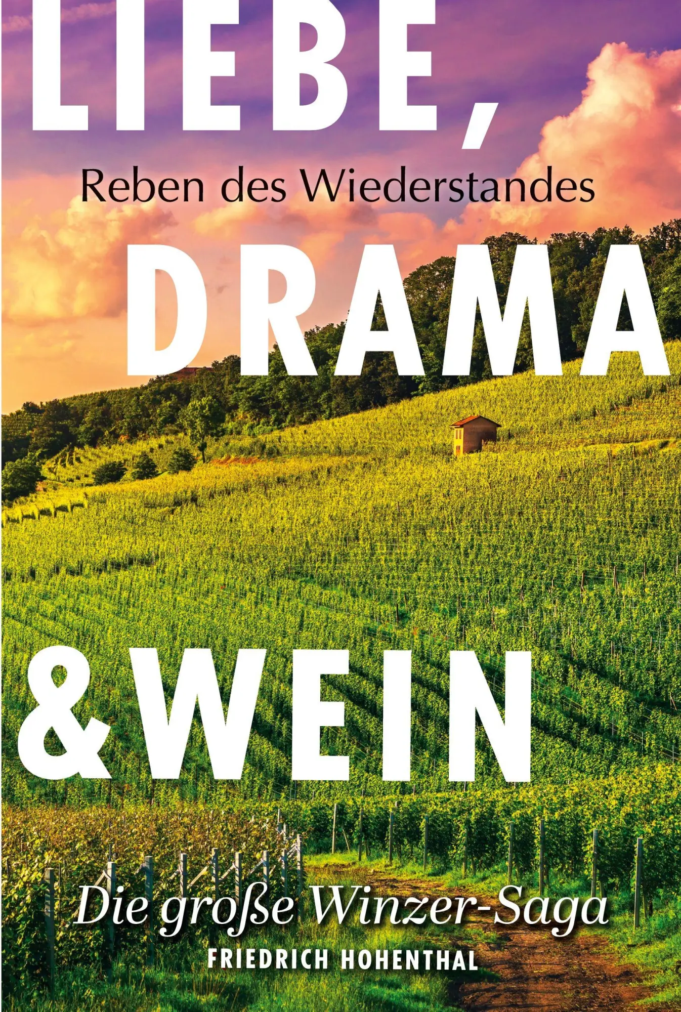 Cover: 9783691160086 | Liebe, Drama und Wein | Band 1: Reben des Wiederstandes | Hohenthal