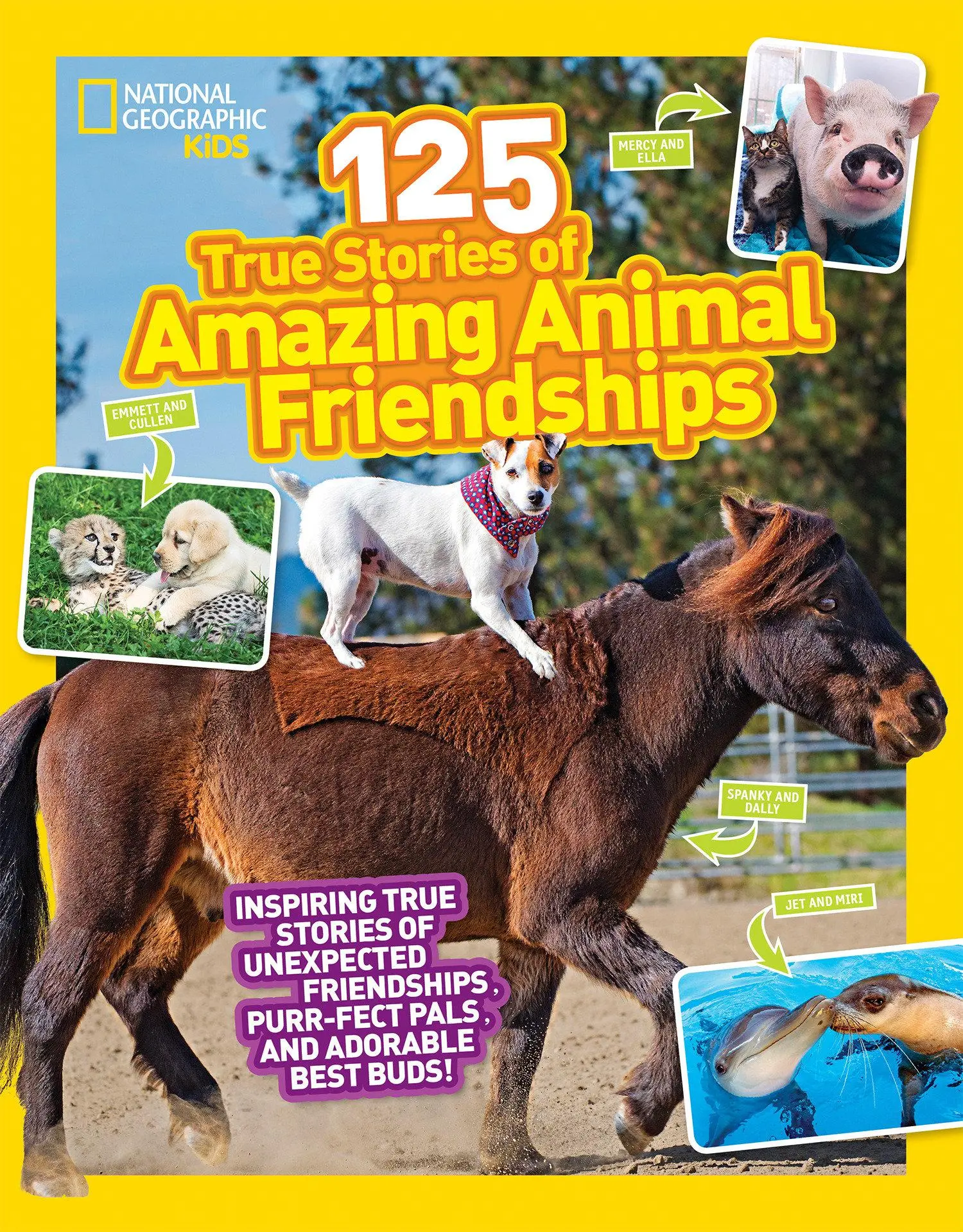 Cover: 9781426330186 | 125 True Stories of Amazing Animal Friendships | Lisa M. Gerry | Buch
