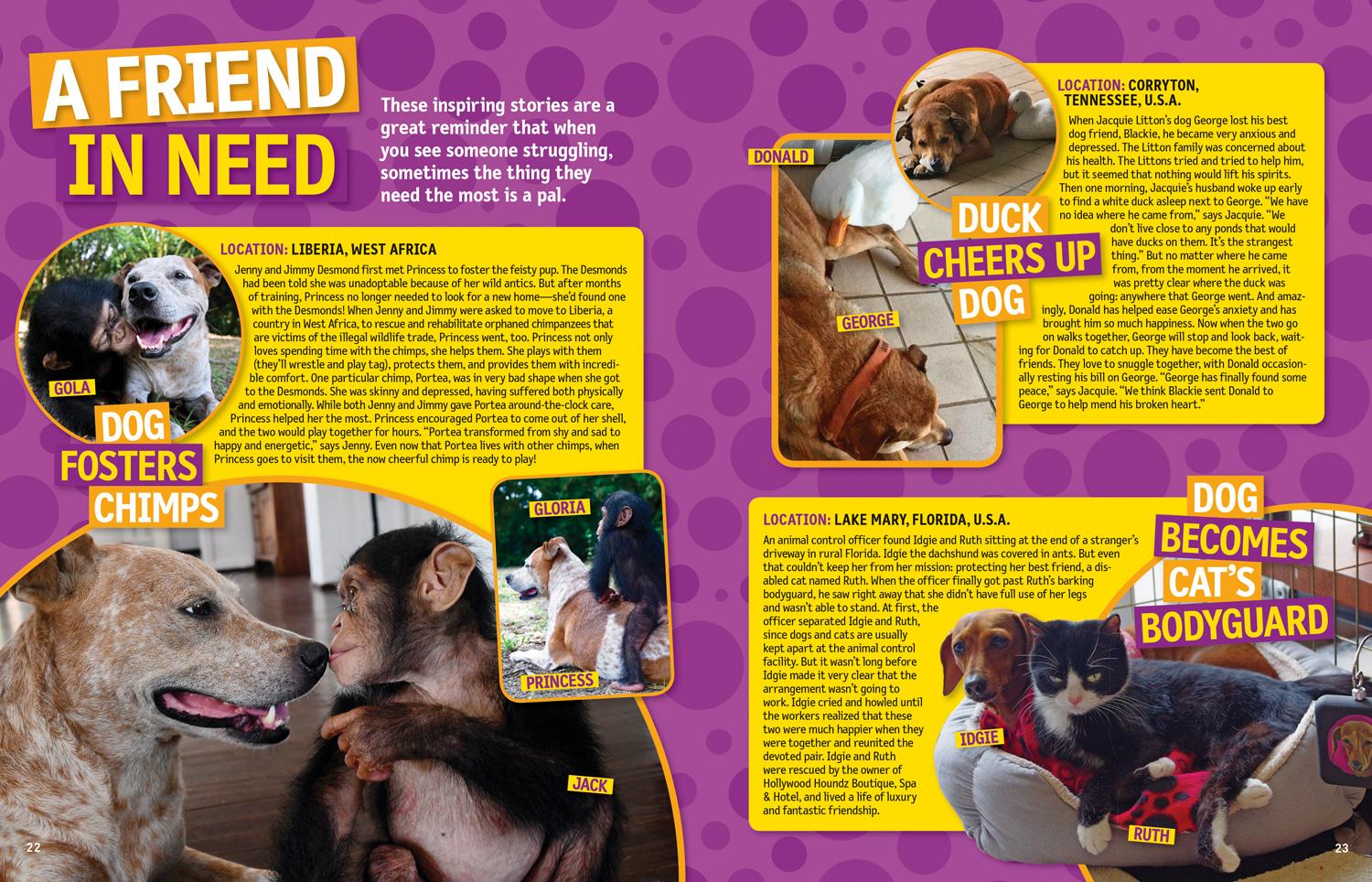 Bild: 9781426330186 | 125 True Stories of Amazing Animal Friendships | Lisa M. Gerry | Buch
