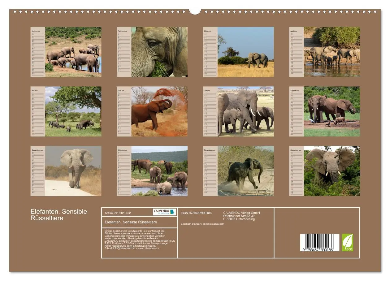 Bild: 9783457990186 | Elefanten. Sensible Rüsseltiere (hochwertiger Premium Wandkalender...