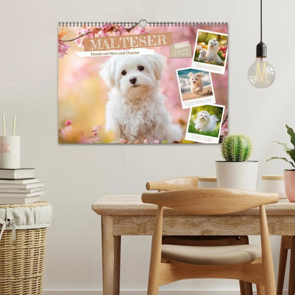 Bild: 9783594370186 | Malteser - Hunde mit Herz und Charme (Wandkalender 2027 DIN A3...