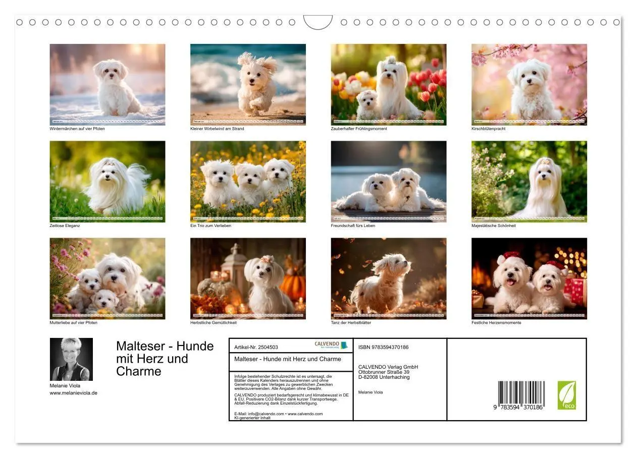 Bild: 9783594370186 | Malteser - Hunde mit Herz und Charme (Wandkalender 2027 DIN A3...