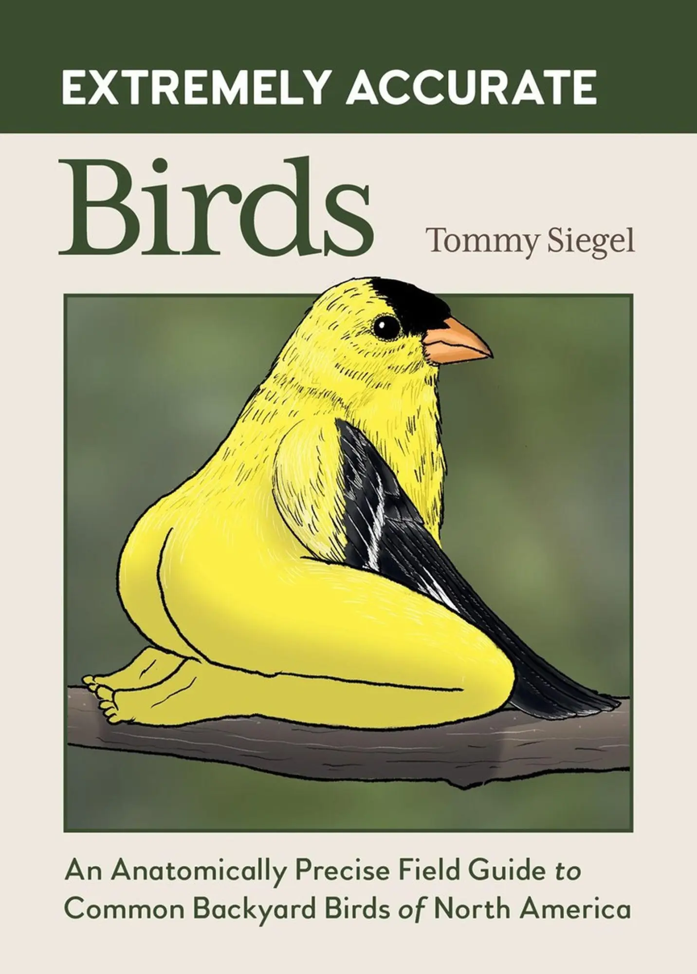 Cover: 9798894140186 | Extremely Accurate Birds | Tommy Siegel | Buch | Englisch | 2026