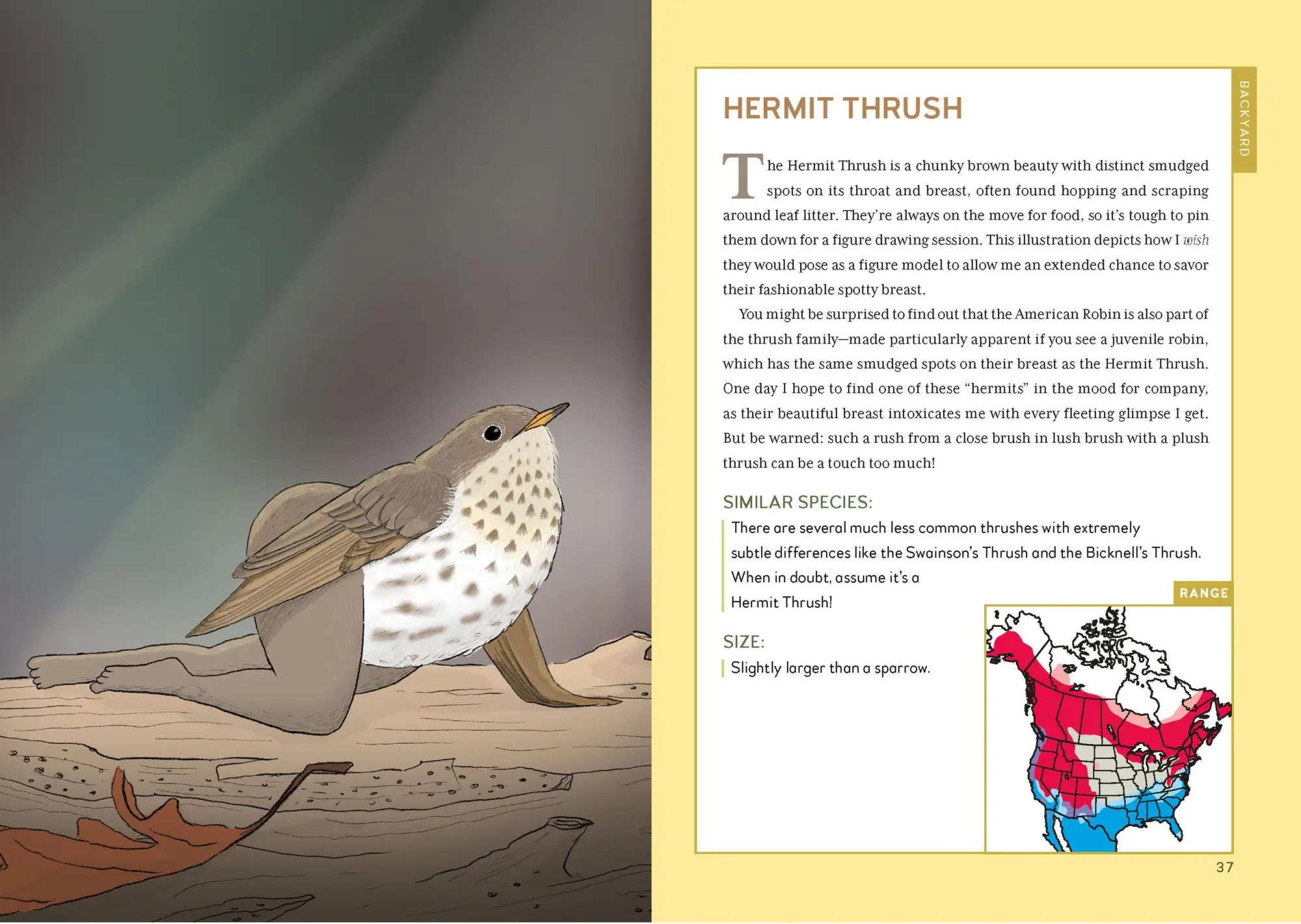 Bild: 9798894140186 | Extremely Accurate Birds | Tommy Siegel | Buch | Englisch | 2026
