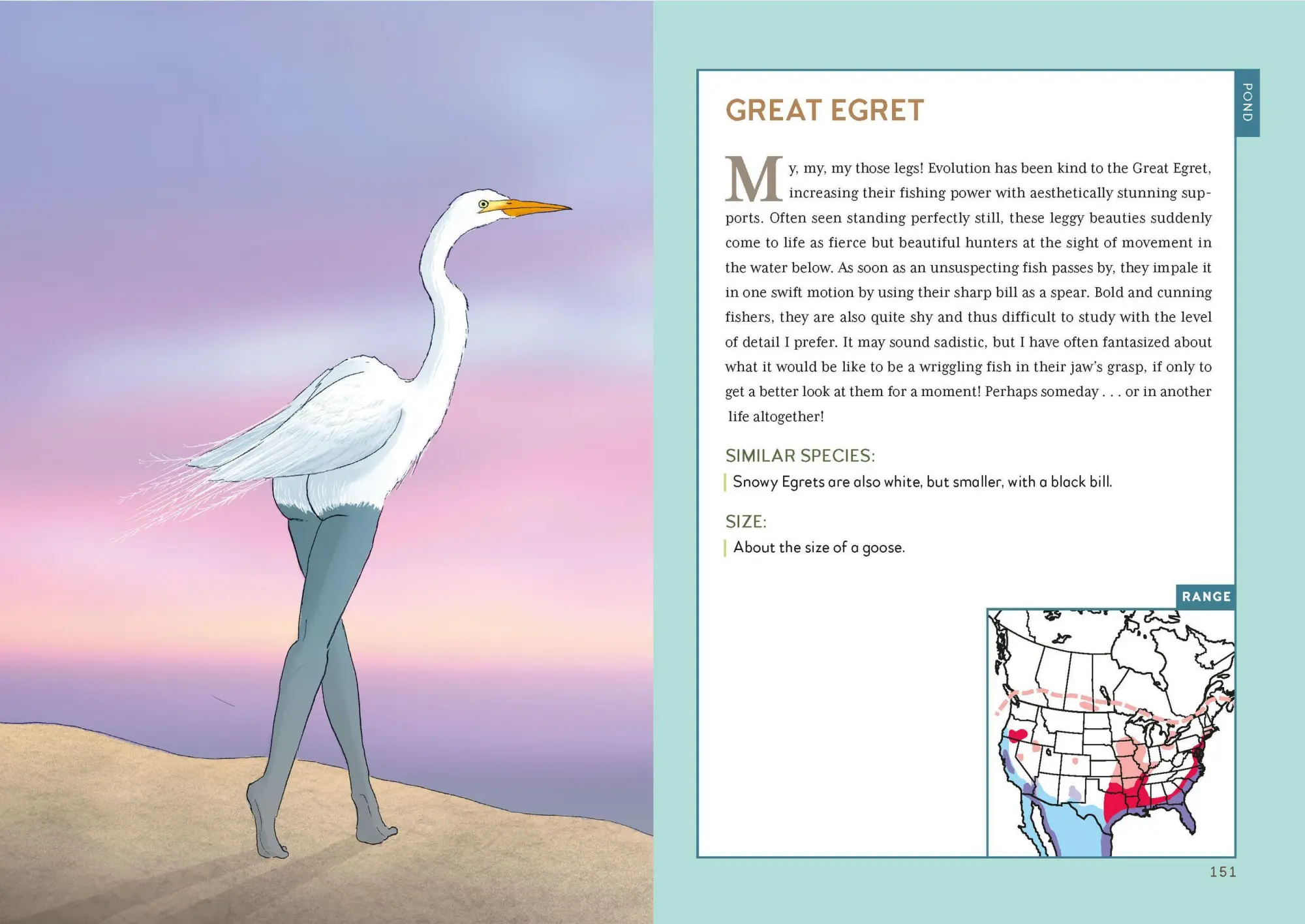 Bild: 9798894140186 | Extremely Accurate Birds | Tommy Siegel | Buch | Englisch | 2026