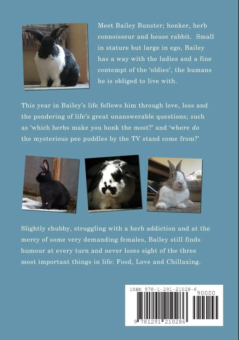 Rückseite: 9781291210286 | Bunster Diaries | H E Davis | Taschenbuch | Englisch | 2012 | Lulu.com
