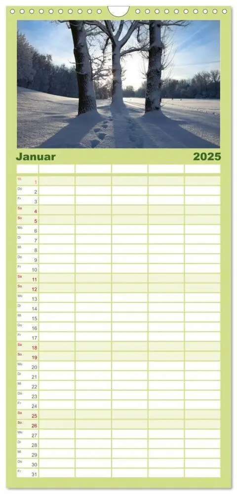 Bild: 9783457120286 | Familienplaner 2025 - Farben der Natur mit 5 Spalten (Wandkalender,...