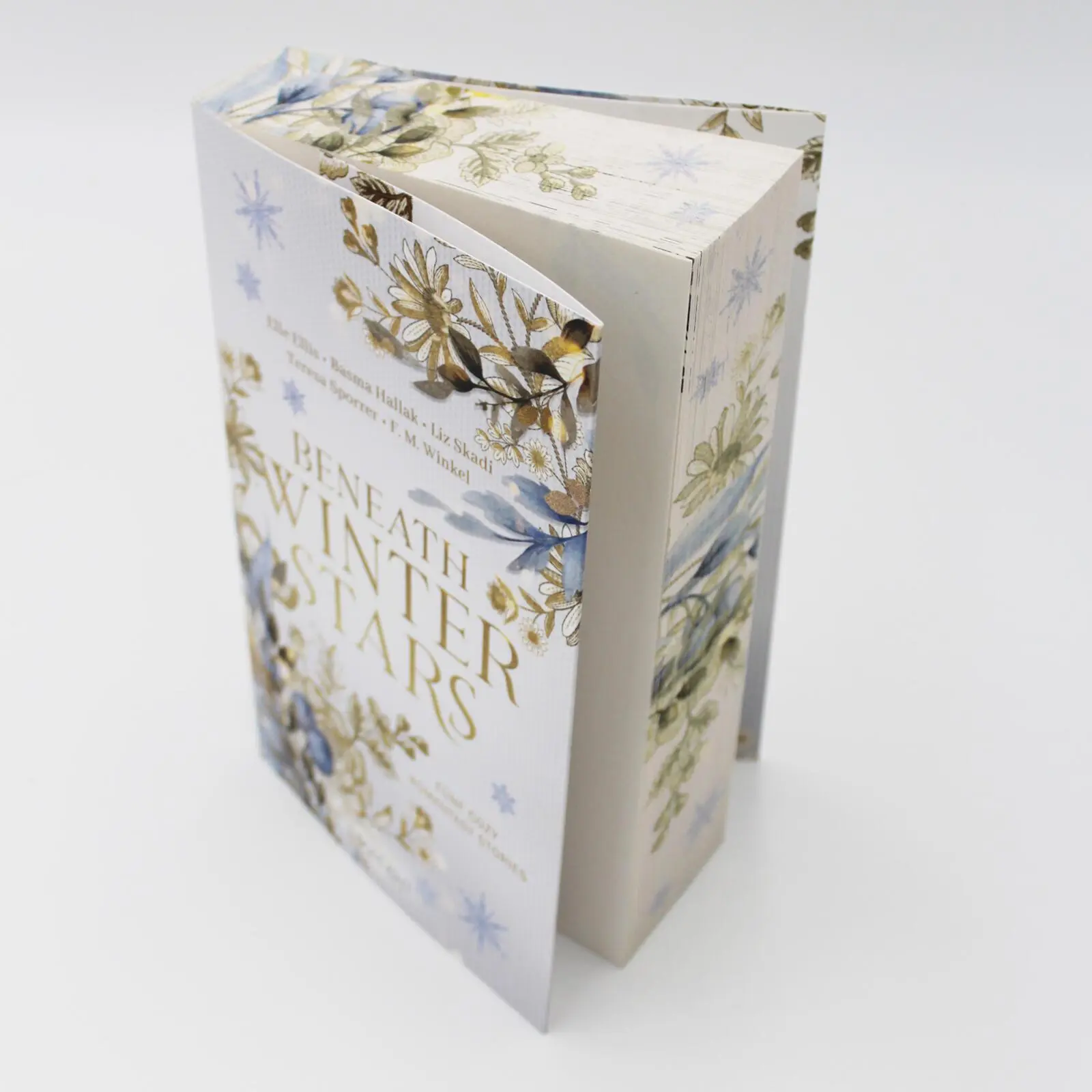 Bild: 9783522900386 | Beneath Winter Stars | Elle Ellis (u. a.) | Taschenbuch | 528 S.
