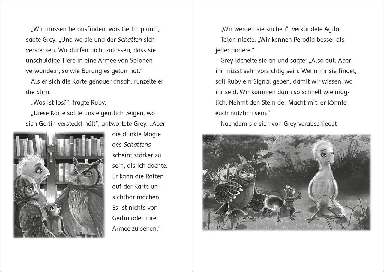 Bild: 9783743220386 | Der letzte Feuerfalke und die Rückkehr des Schattens (Band 12) | Buch