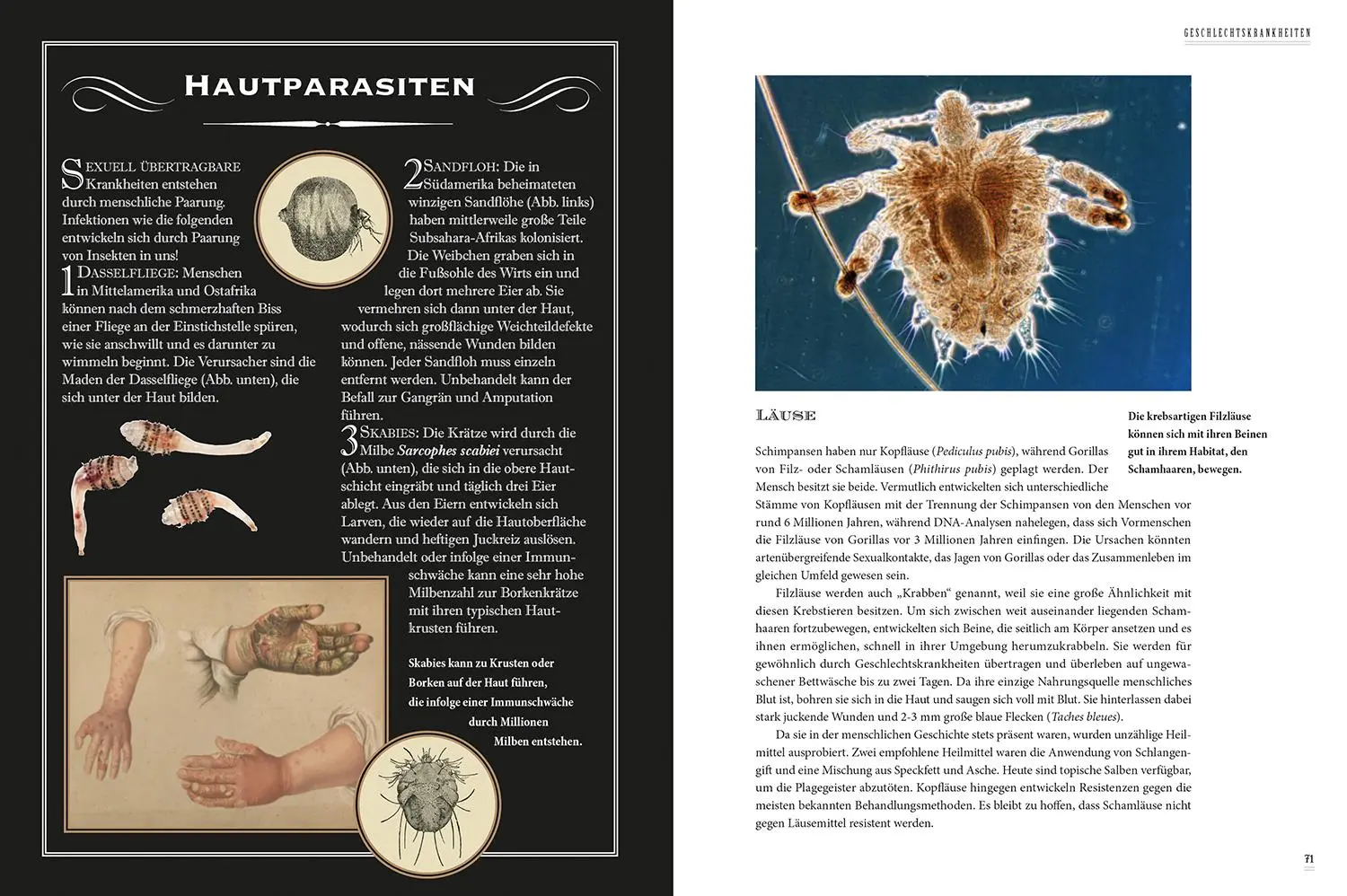 Bild: 9789464990386 | Grässliche Krankheiten &amp; Absurde Heilmethoden | Jonathan J. Moore