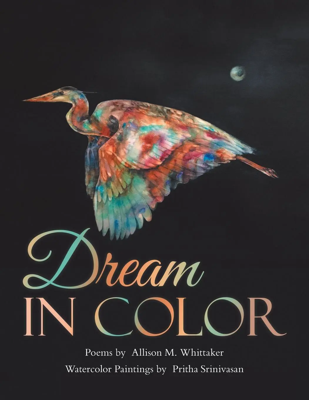 Cover: 9781684700486 | Dream in Color | Allison M. Whittaker (u. a.) | Taschenbuch | Englisch