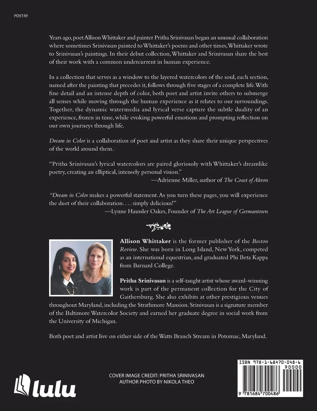 Rückseite: 9781684700486 | Dream in Color | Allison M. Whittaker (u. a.) | Taschenbuch | Englisch