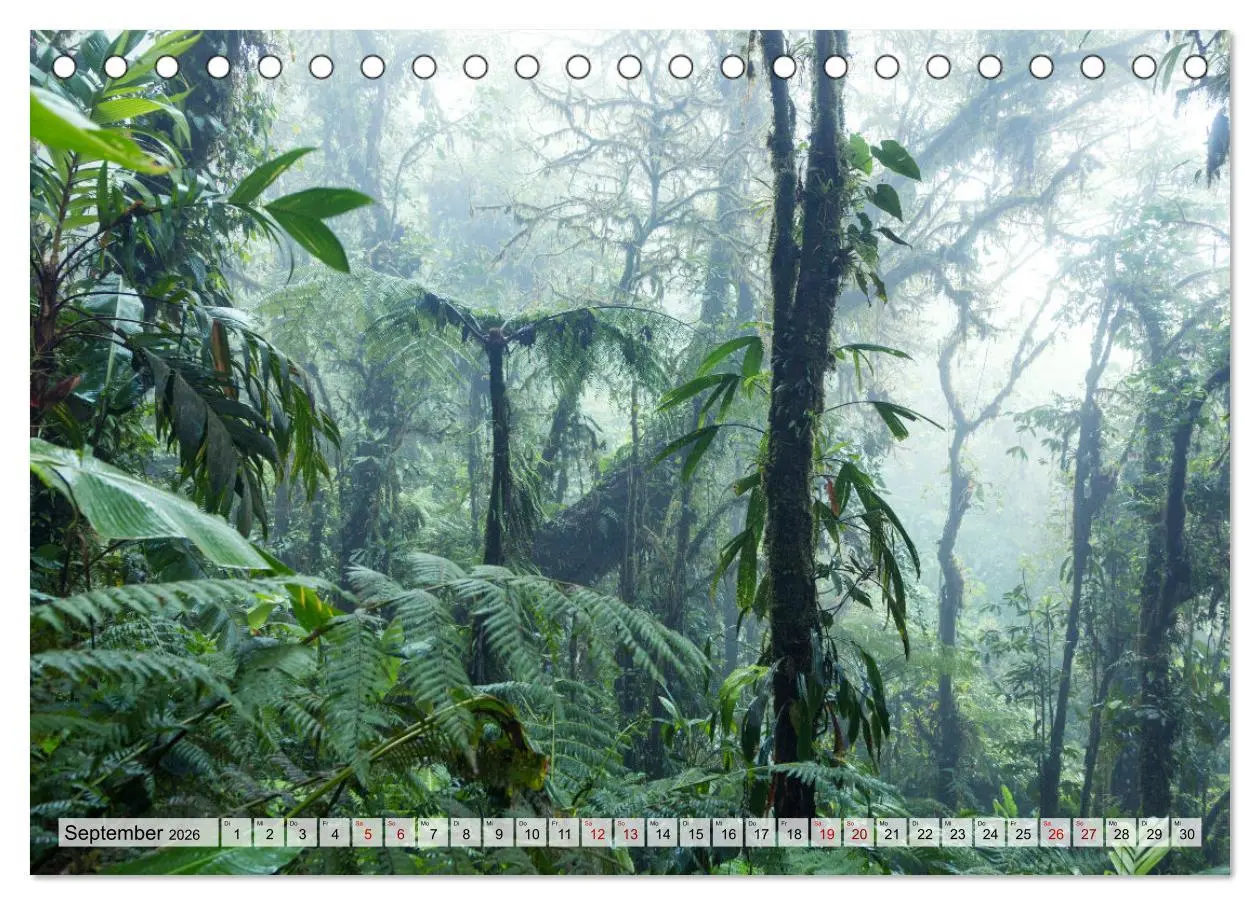 Bild: 9783457570586 | Costa Rica - Tierwelt und Landschaften (Tischkalender 2026 DIN A5...