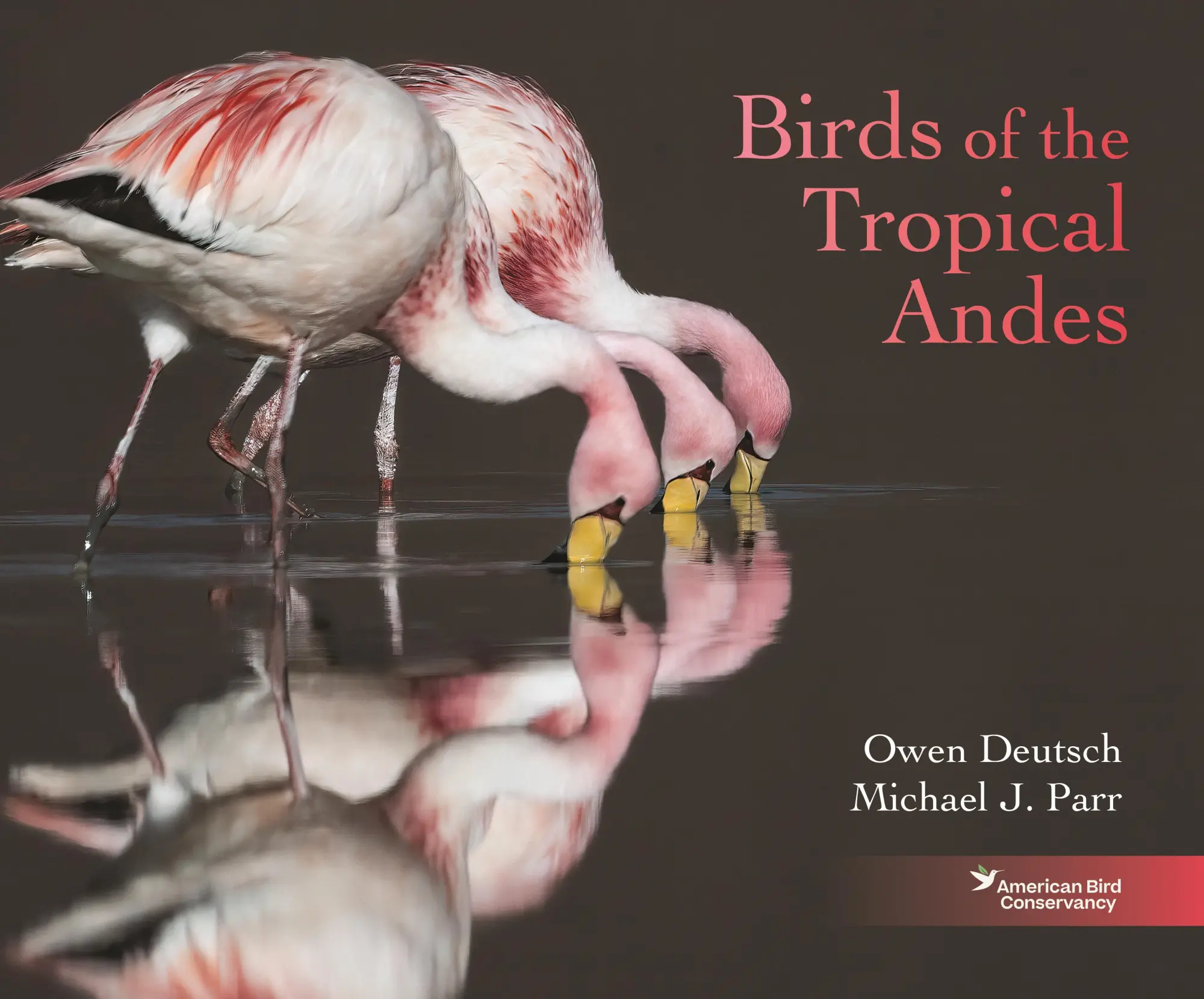 Cover: 9780691260686 | Birds of the Tropical Andes | Michael J. Parr (u. a.) | Buch | 2025