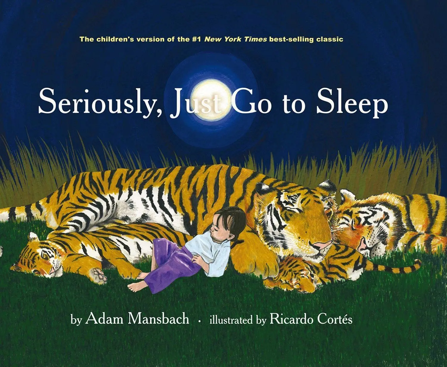 Cover: 9781617750786 | Seriously, Just Go to Sleep | Adam Mansbach | Buch | Englisch | 2012