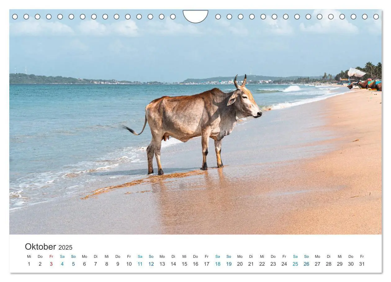 Bild: 9783435150786 | Traumziel Sri Lanka (Wandkalender 2025 DIN A4 quer), CALVENDO...