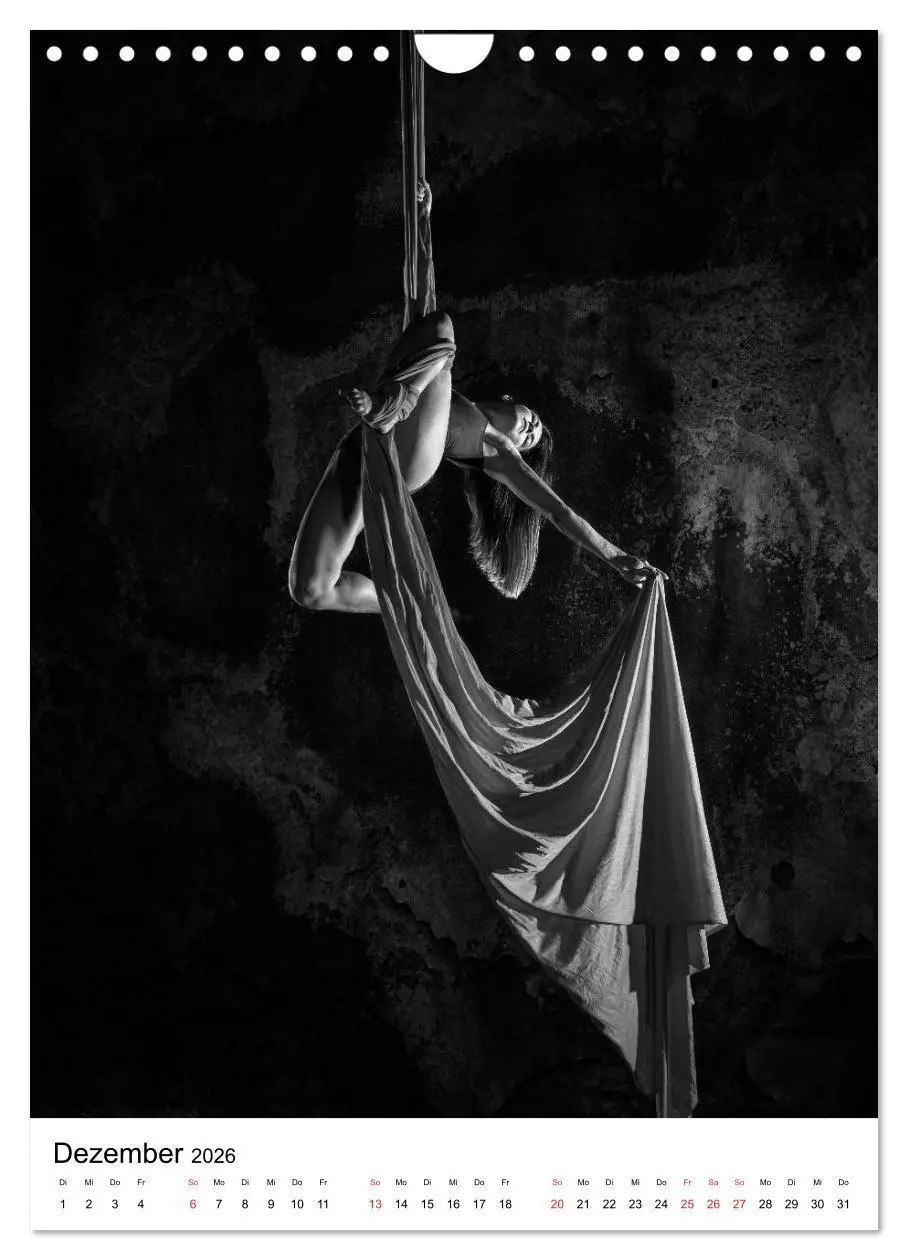 Bild: 9783516400786 | VERTIKALTUCH Artistik (Wandkalender 2026 DIN A4 hoch), CALVENDO...