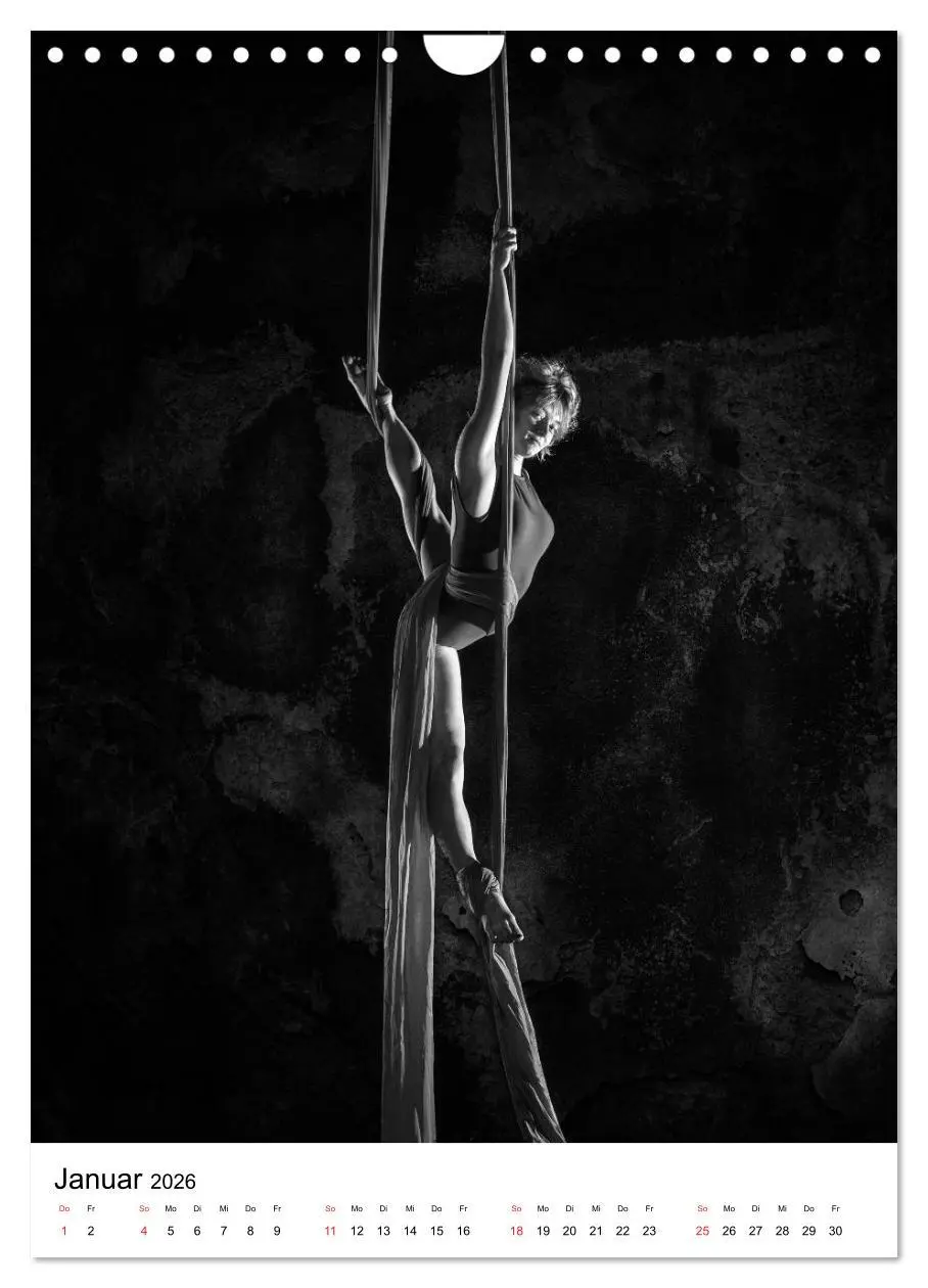 Bild: 9783516400786 | VERTIKALTUCH Artistik (Wandkalender 2026 DIN A4 hoch), CALVENDO...