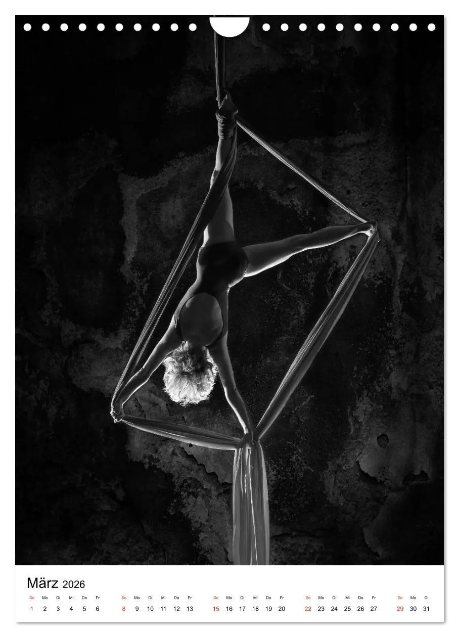 Bild: 9783516400786 | VERTIKALTUCH Artistik (Wandkalender 2026 DIN A4 hoch), CALVENDO...
