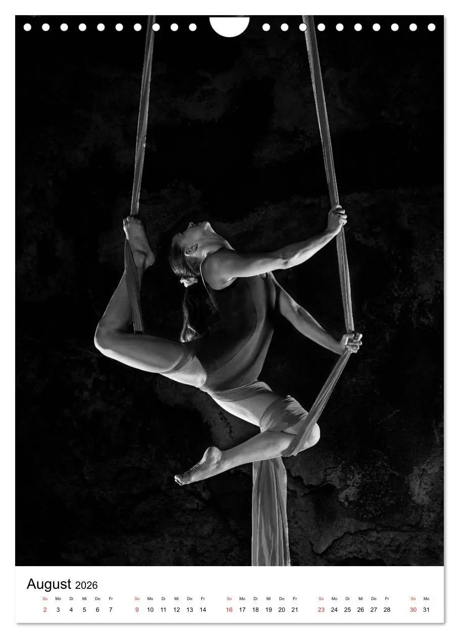 Bild: 9783516400786 | VERTIKALTUCH Artistik (Wandkalender 2026 DIN A4 hoch), CALVENDO...