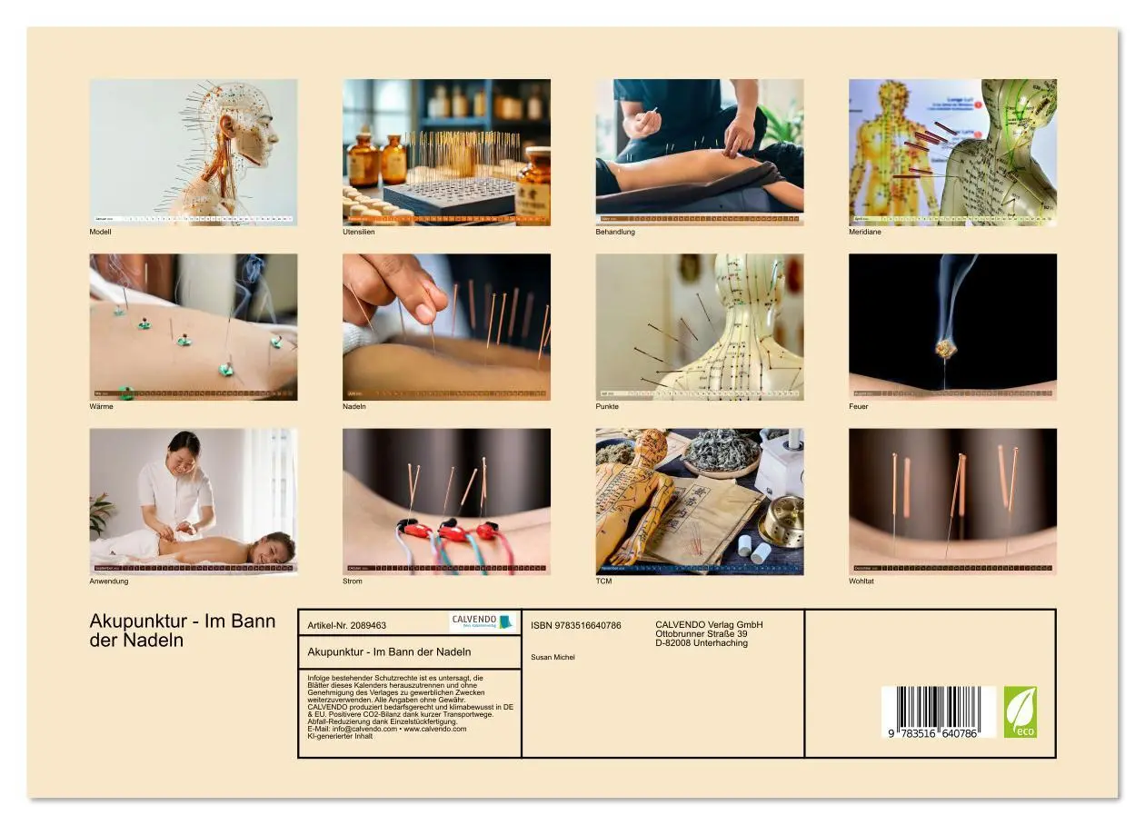 Bild: 9783516640786 | Akupunktur - Im Bann der Nadeln (Wandkalender 2026 DIN A3 quer),...