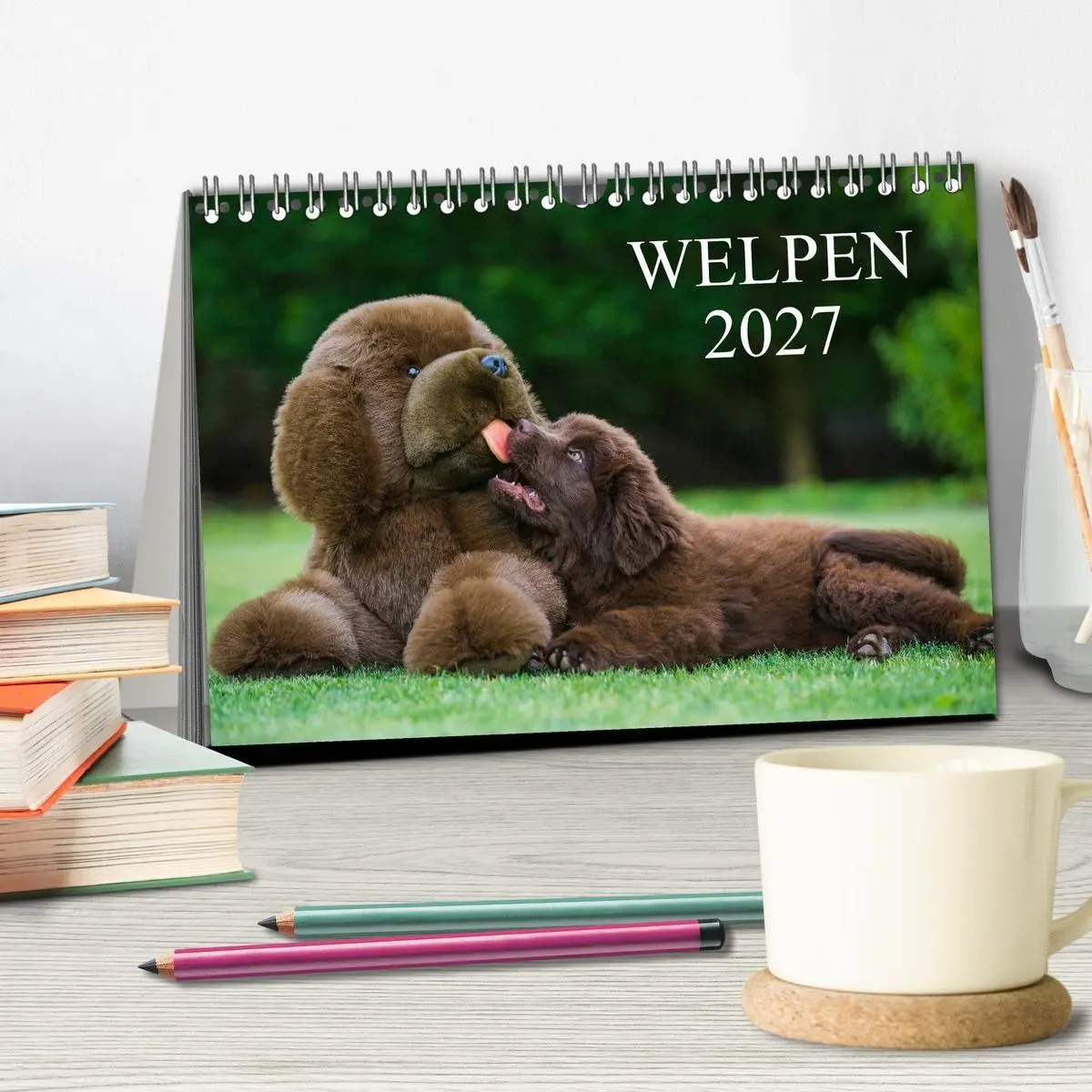 Bild: 9783594170786 | Welpen 2027 (Tischkalender 2027 DIN A5 quer), CALVENDO Monatskalender