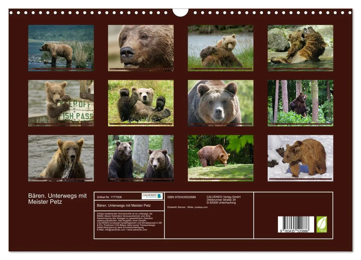 Bild: 9783435520886 | Bären. Unterwegs mit Meister Petz (Wandkalender 2025 DIN A3 quer),...
