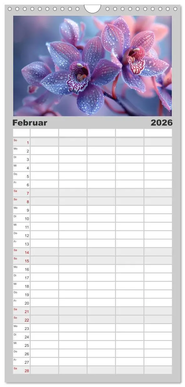 Bild: 9783516490886 | Familienplaner 2026 - Orchideen - farbenfroh durchs Jahr mit 5...