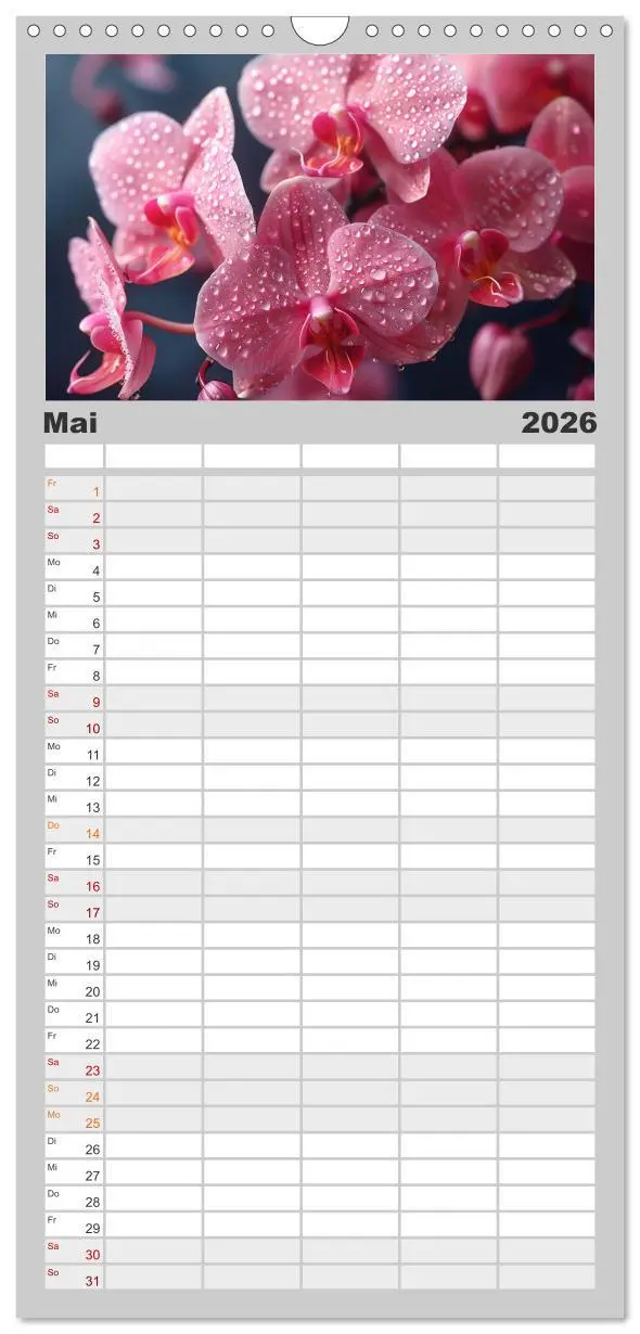 Bild: 9783516490886 | Familienplaner 2026 - Orchideen - farbenfroh durchs Jahr mit 5...