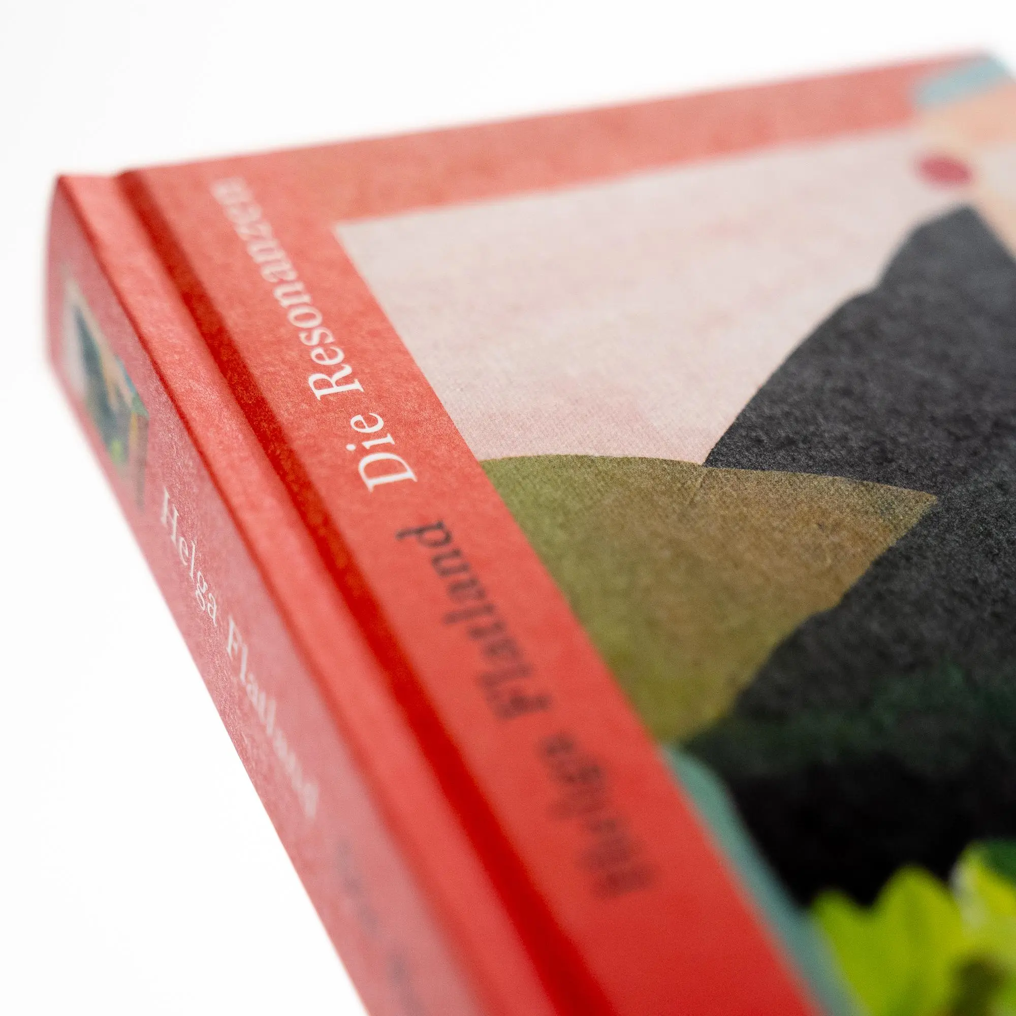 Bild: 9783753000886 | Die Resonanzen | Helga Flatland | Buch | 352 S. | Deutsch | 2023