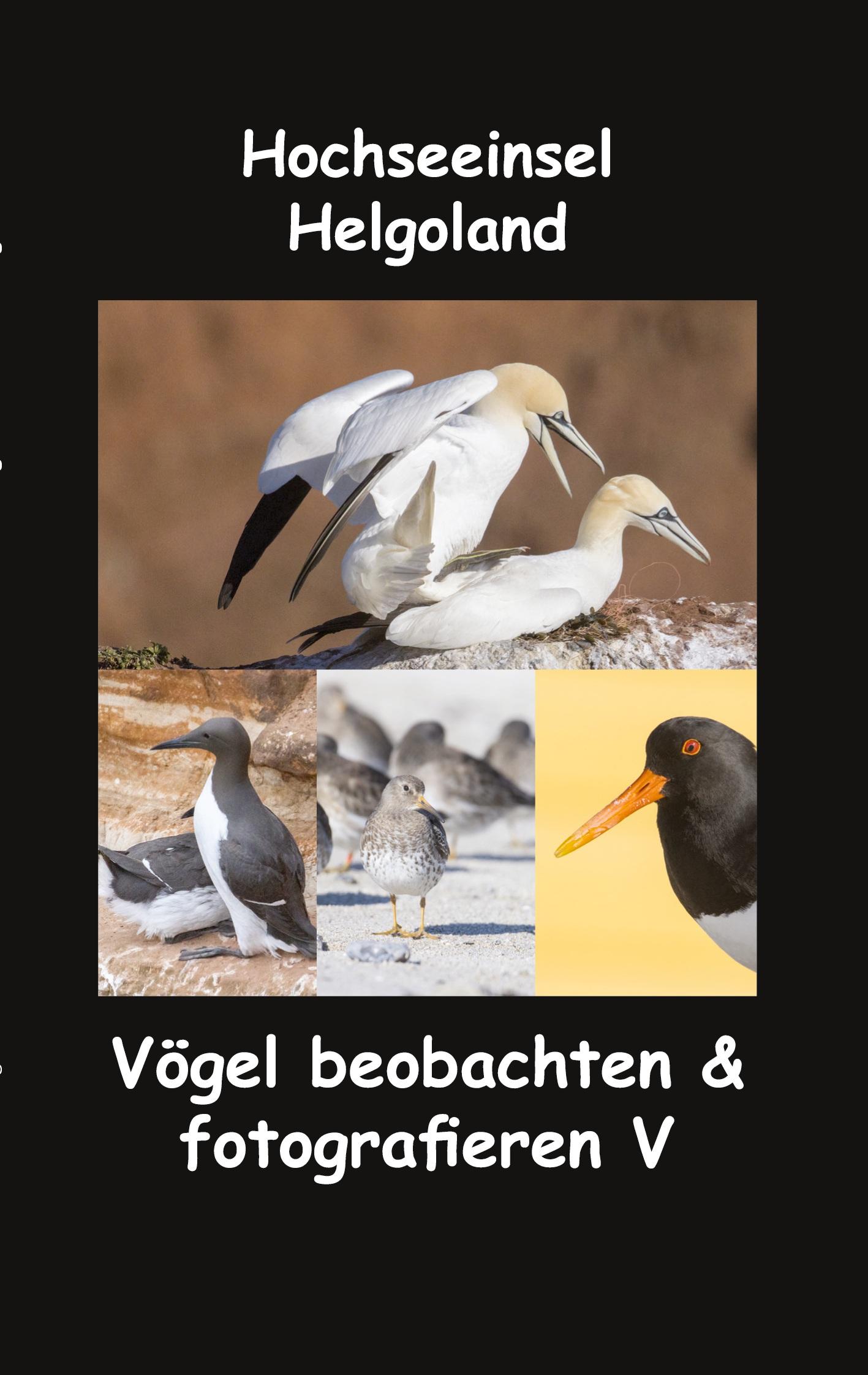 Cover: 9783756210886 | Hochseeinsel Helgoland | Vögel beobachten &amp; fotografieren V | Fotolulu