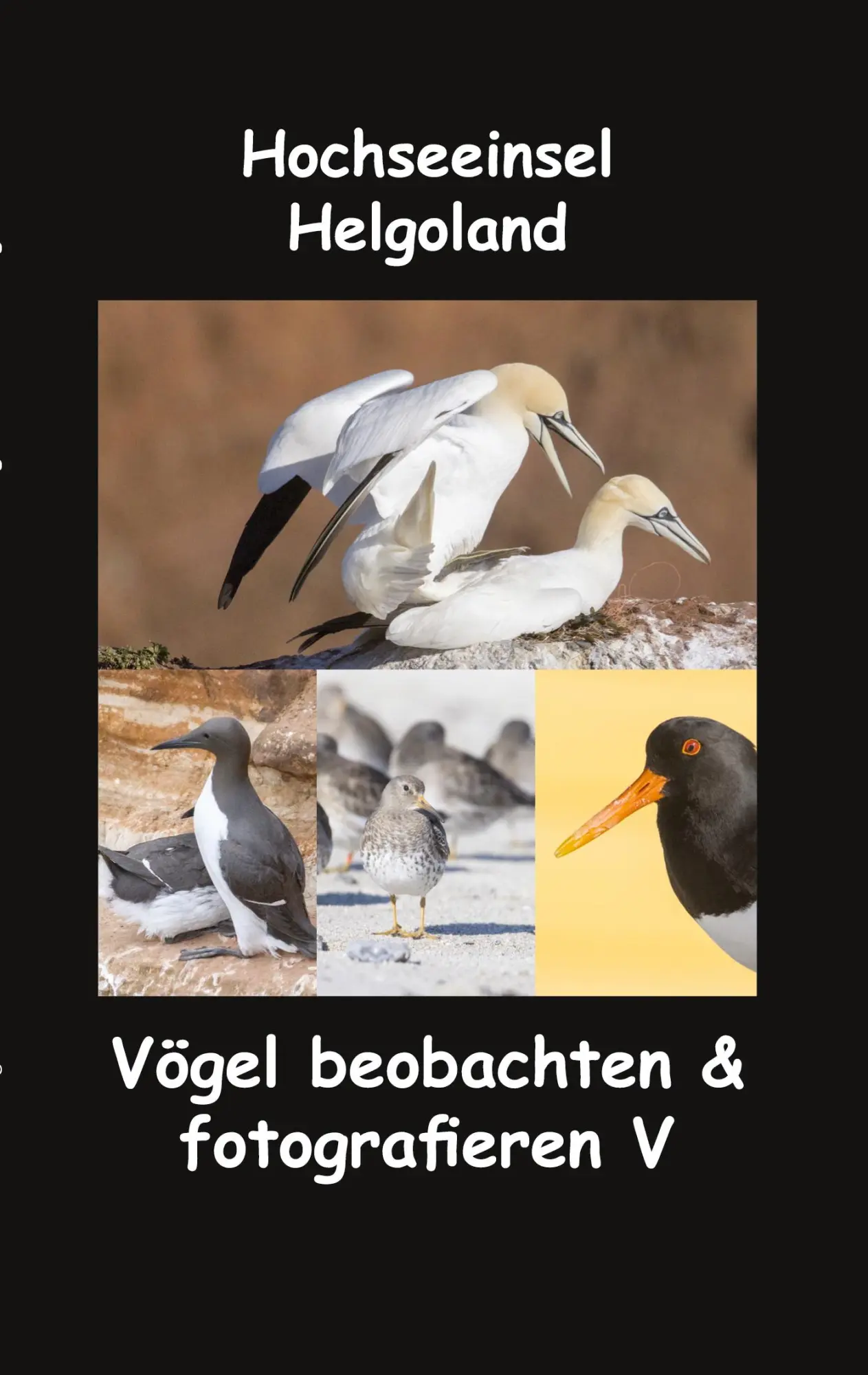 Cover: 9783756210886 | Hochseeinsel Helgoland | Vögel beobachten &amp; fotografieren V | Fotolulu