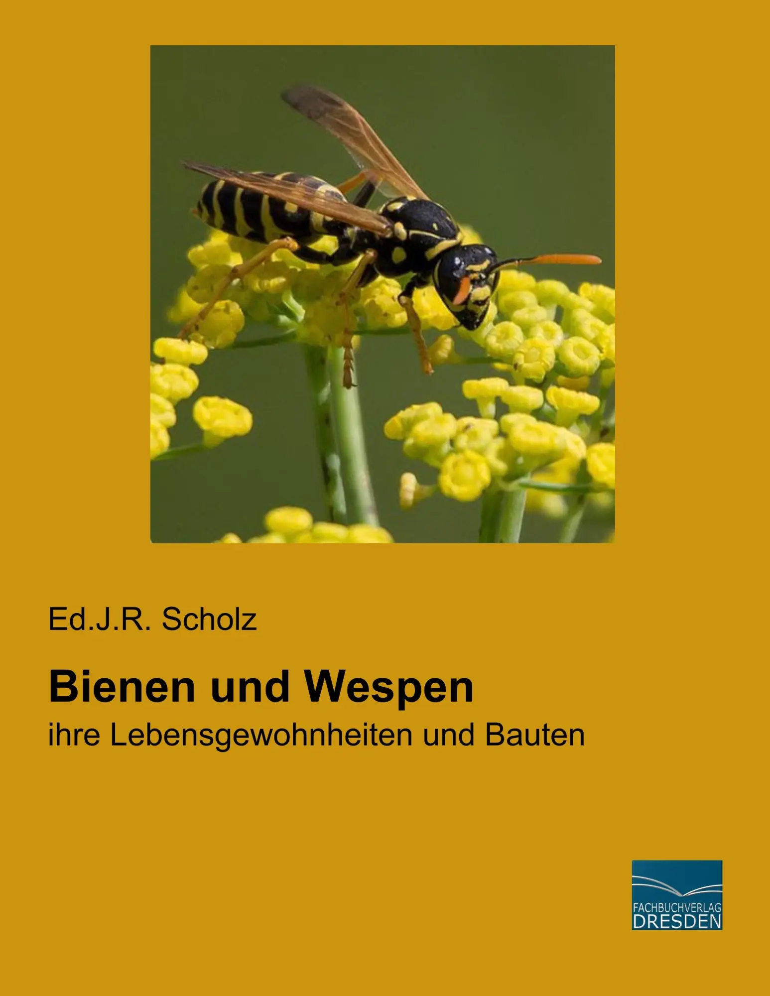 Cover: 9783961690886 | Bienen und Wespen | ihre Lebensgewohnheiten und Bauten | Scholz | Buch