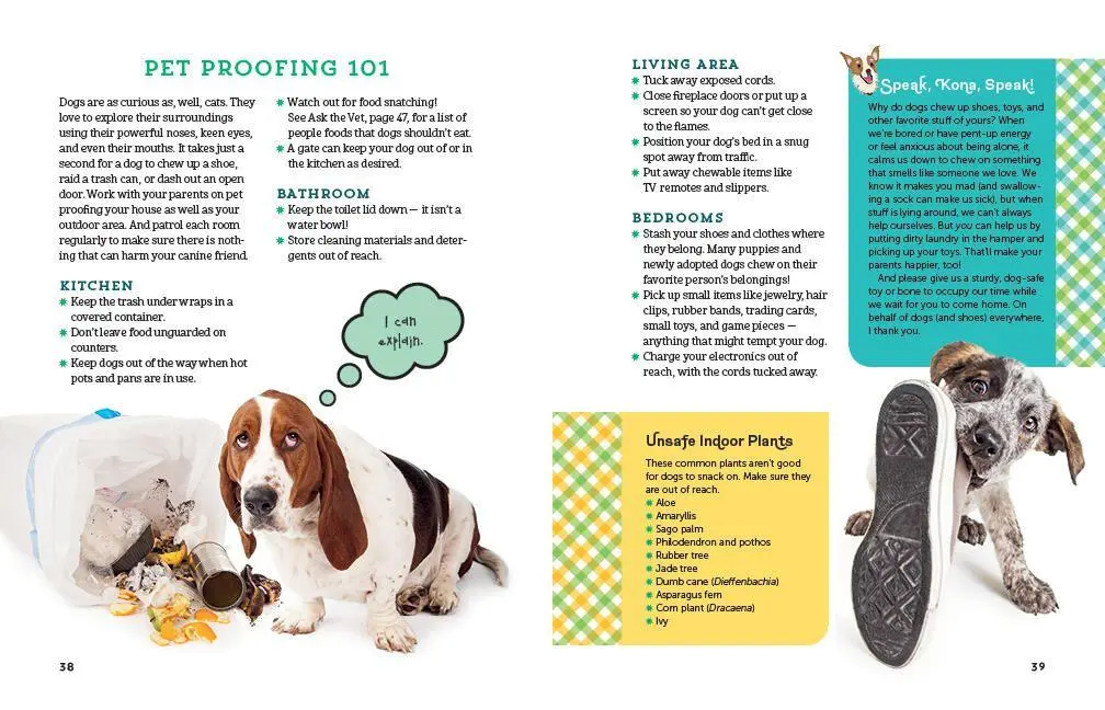 Bild: 9781635860986 | A Kid's Guide to Dogs | Arden Moore | Taschenbuch | Englisch | 2020