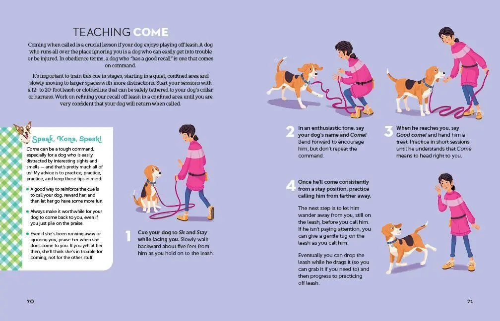 Bild: 9781635860986 | A Kid's Guide to Dogs | Arden Moore | Taschenbuch | Englisch | 2020