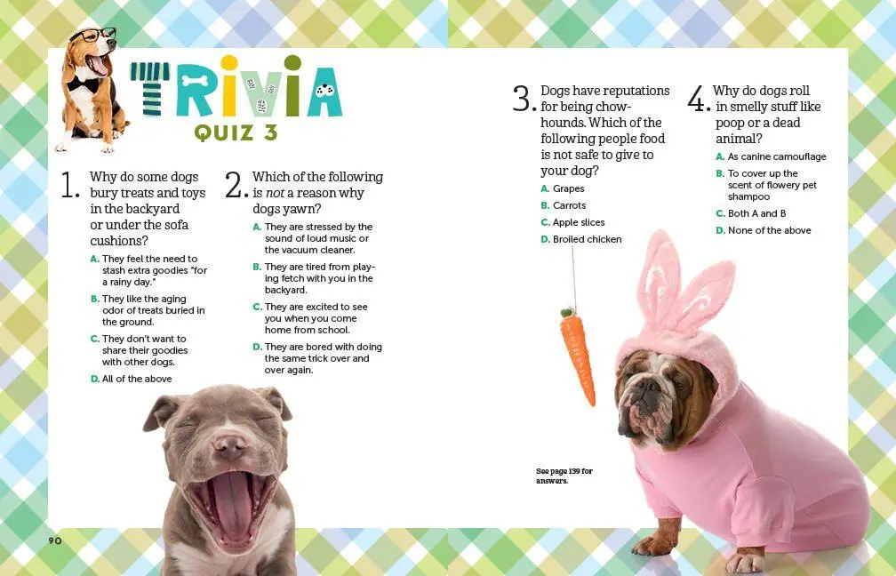 Bild: 9781635860986 | A Kid's Guide to Dogs | Arden Moore | Taschenbuch | Englisch | 2020
